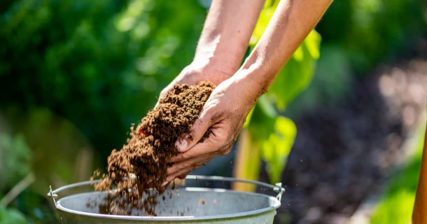Soorten potgrond: iedere plant zijn eigen behoeften Thumb