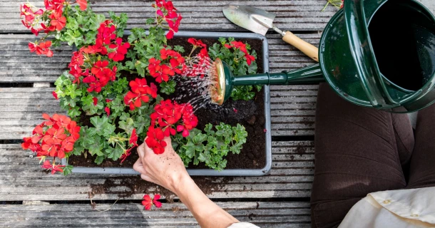 10 tips om je terrasplanten slim en zuinig water te geven Thumb