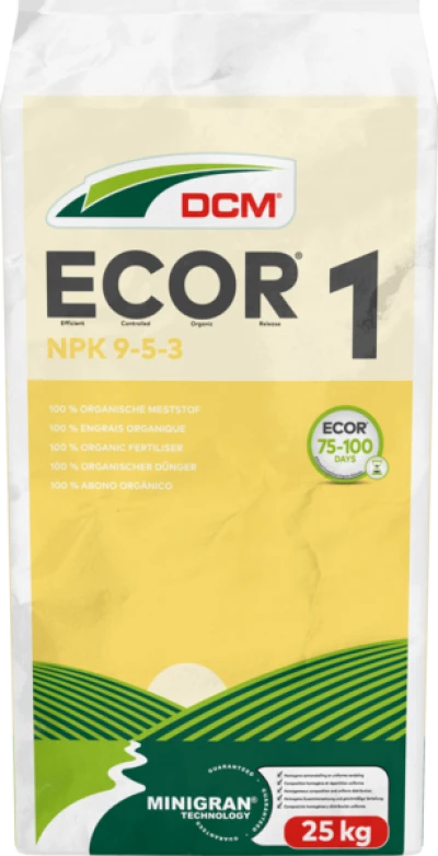 DCM ECOR® 1 thumbnail