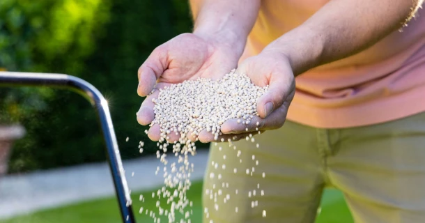 Kalk, de geheime bondgenoot van jouw tuin Thumb