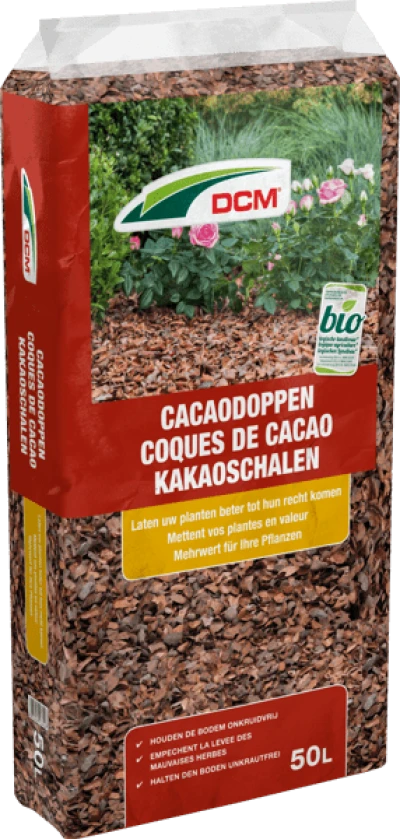 DCM Cacaodoppen thumbnail