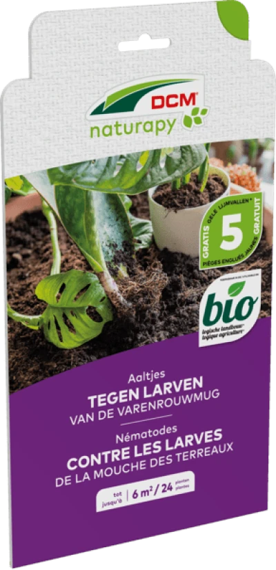 Aaltjes tegen larven van de varenrouwmug thumbnail
