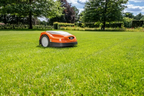 Gazononderhoud bij robotmaaien Thumb