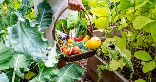 VEGAN: 100% plantaardige en natuurlijke verzorging voor jouw planten Thumb